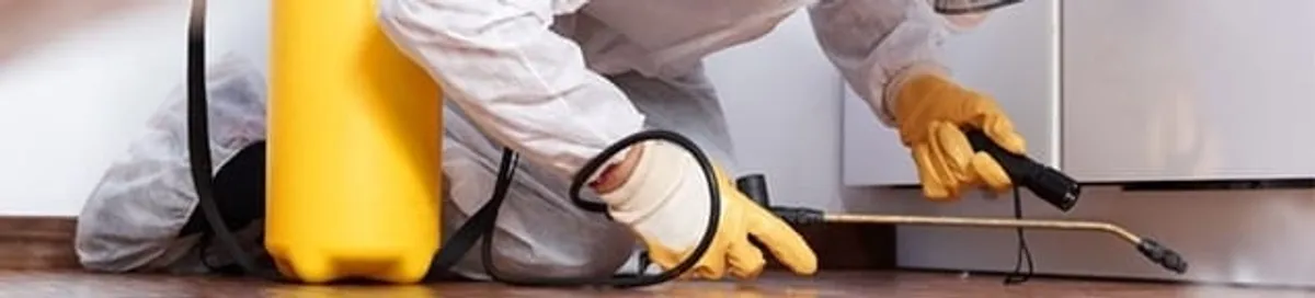 Roach exterminator treating cracks and crevices along kitchen baseboards in Sterling Heights, MI