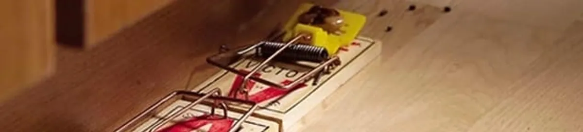 Rodent trap set indoors for rodent control and prevention in Sterling Heights, MI